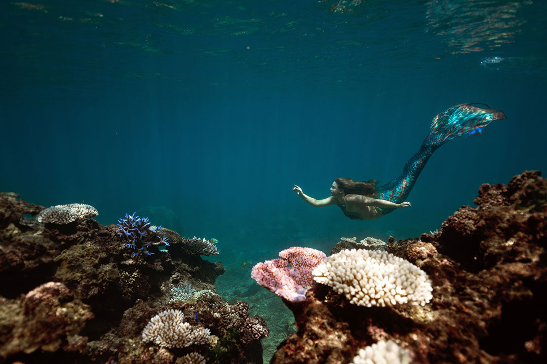Mermaid swims with coral
